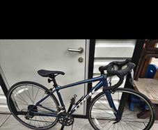 Trek Domane Frame Size 47