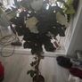 Home Image 5