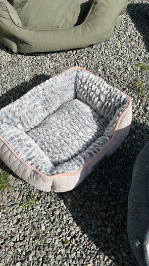 Dog Beds