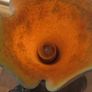lamp Image 4