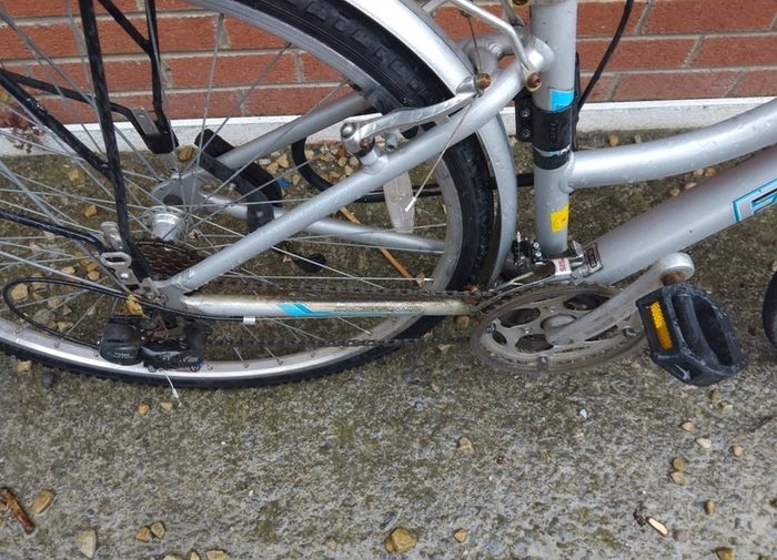 ladies bike falcon horizon