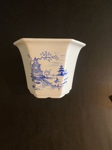 Flower Pot - Royal Winton