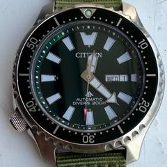 Citizen Promaster Fugu Automatic Diver Watch