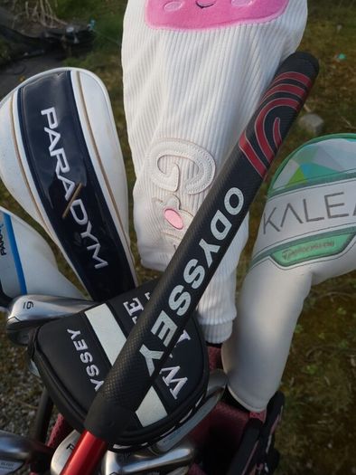 Set of Ladies Golf Clubs