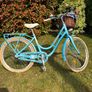 Blue Cruising Bike Image 2