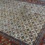 P.ersian Bidjar Rug 2.95 x 1.95m (BJAR) Image 5