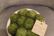 Moss and Sweetpea faux plant from M&amp;S