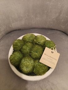 Moss and Sweetpea faux plant from M&S