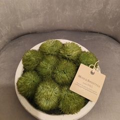 Moss and Sweetpea faux plant from M&S