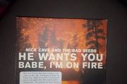 Nick Cave CD - He Wants You / Babe, I'm On Fire