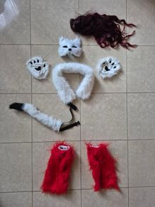 Fox costume and more