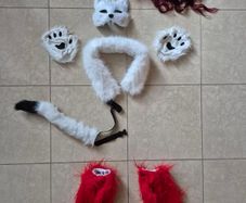 Fox costume and more