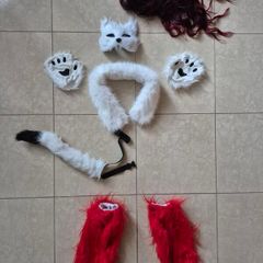 Fox costume and more