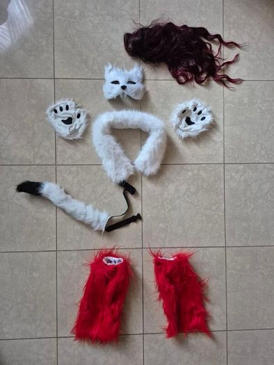Fox costume and more