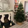 Woodies 7ft christmas tree Image 3