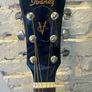 Ibanez Acoustic Guitar Image 4