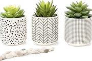 Farmhouse Set-of-3-artificial-succulents-in-pots | Black &amp; White Ceramic pots with fake succulents | Faux Plants Indoor Artificial Succulent pots 4.75" high, 3" wide | Small Fake Plants