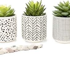 Farmhouse Set-of-3-artificial-succulents-in-pots | Black & White Ceramic pots with fake succulents | Faux Plants Indoor Artificial Succulent pots 4.75" high, 3" wide | Small Fake Plants