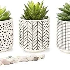 Farmhouse Set-of-3-artificial-succulents-in-pots | Black & White Ceramic pots with fake succulents | Faux Plants Indoor Artificial Succulent pots 4.75" high, 3" wide | Small Fake Plants