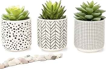 Farmhouse Set-of-3-artificial-succulents-in-pots | Black & White Ceramic pots with fake succulents | Faux Plants Indoor Artificial Succulent pots 4.75" high, 3" wide | Small Fake Plants