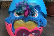 Rainbocorns