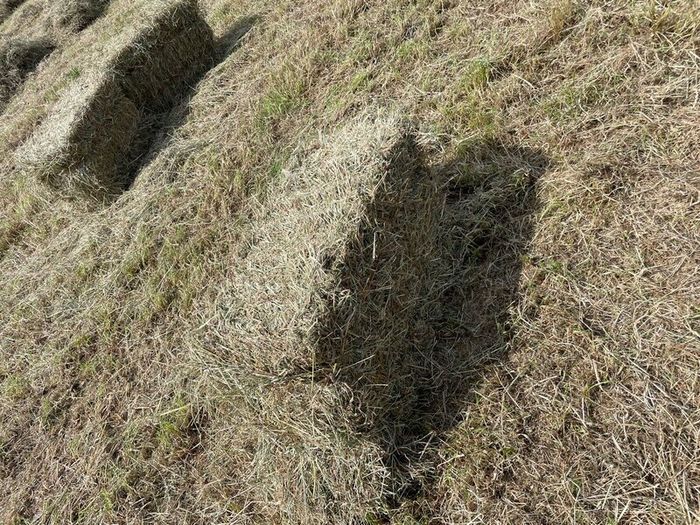 Square bales of hay North Galway