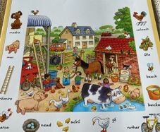 Irish language children's book