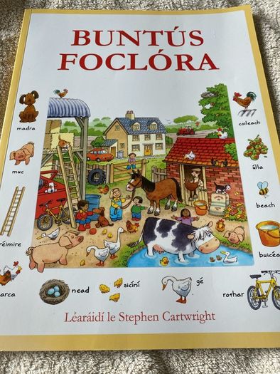 Irish language children's book