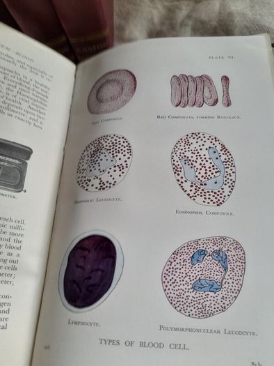 Modern Professional Nursing Complete Set