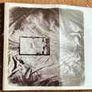 This Mortal Coil  -  filigree & shadow Image 2