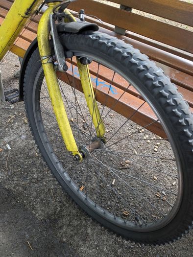 Bicycle Raleigh