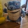 Pokemon Teddies Image 7