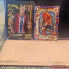 Adrenalyne Panini cards World Cup 26