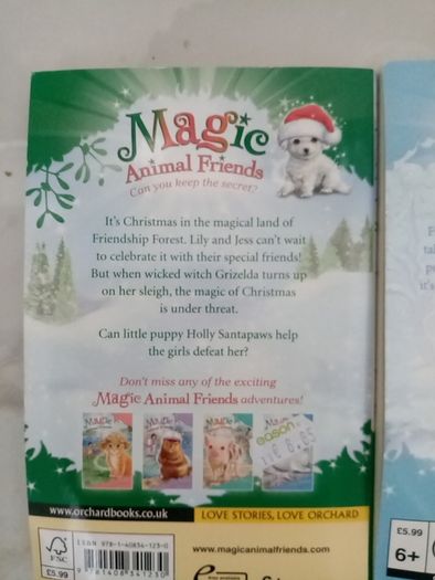 Magic Animal Friends books x 2