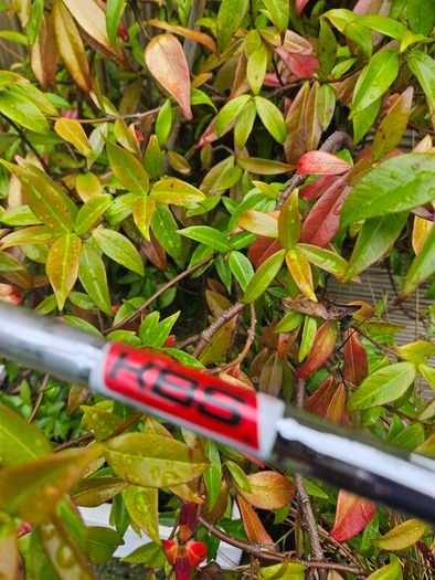 Taylormade Wedge