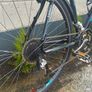 Kellys Saphix Crossbike  bicycle Image 3