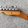 Fender Player Plus Telecaster Image 2