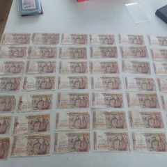job lot of b series 50