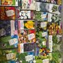 Plant Seeds Free to Share Image 3
