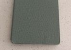 Kindle Cover (authentic)
