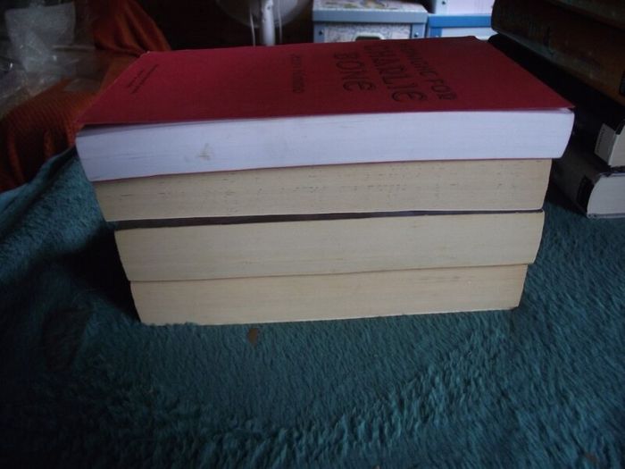 Jenny Nimmo-Children of The Red King (Charlie Bone)-13 Books 1st/1st & Signed