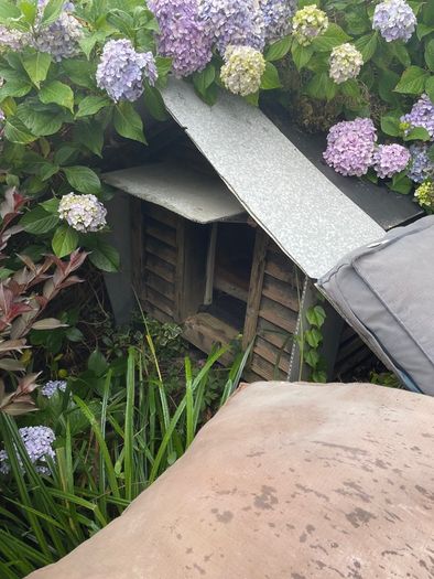 Dog House