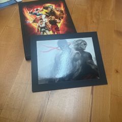 Street Fighter V Collector's Edition Strategy Guide