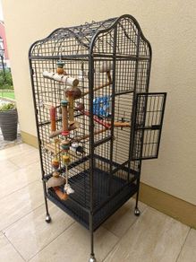 bird cage