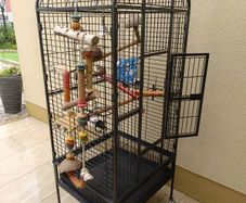 bird cage