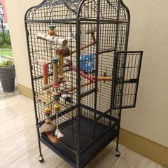 bird cage