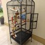 parrot cage for sale Image 2
