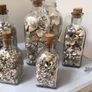 Sea shells in bottles Image 3