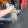 renault scenic 2010 parts Image 2