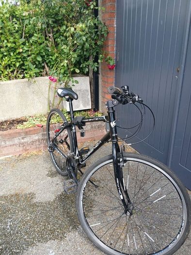 17 inch frame ,Cosenza 21 speed gears